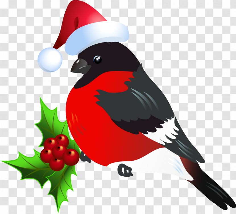 Bird Christmas - Red Transparent PNG