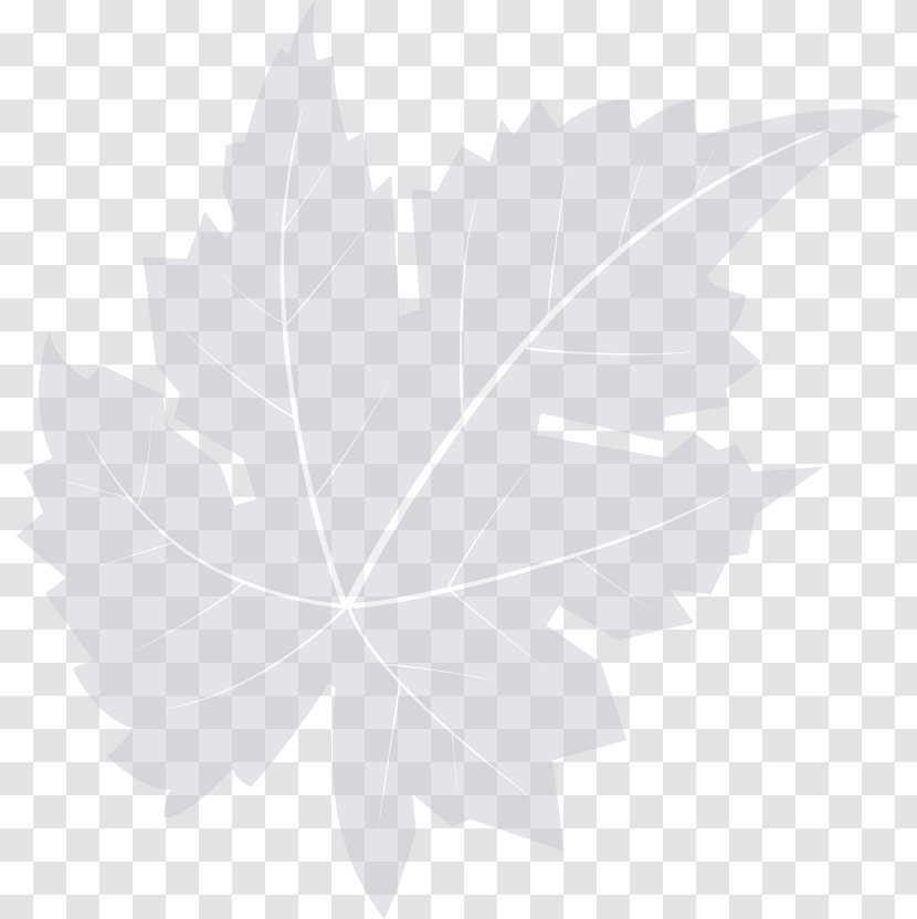 Maple Leaf Desktop Wallpaper Computer Font - Watermark Transparent PNG