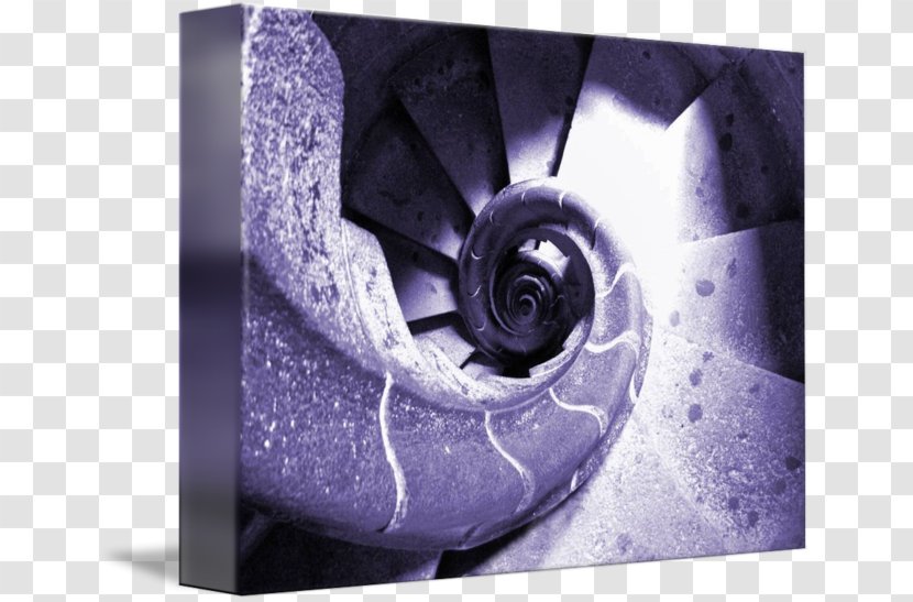 Sagrada Família Hotel Familia Gallery Wrap Purple - Spiral Staircase Transparent PNG