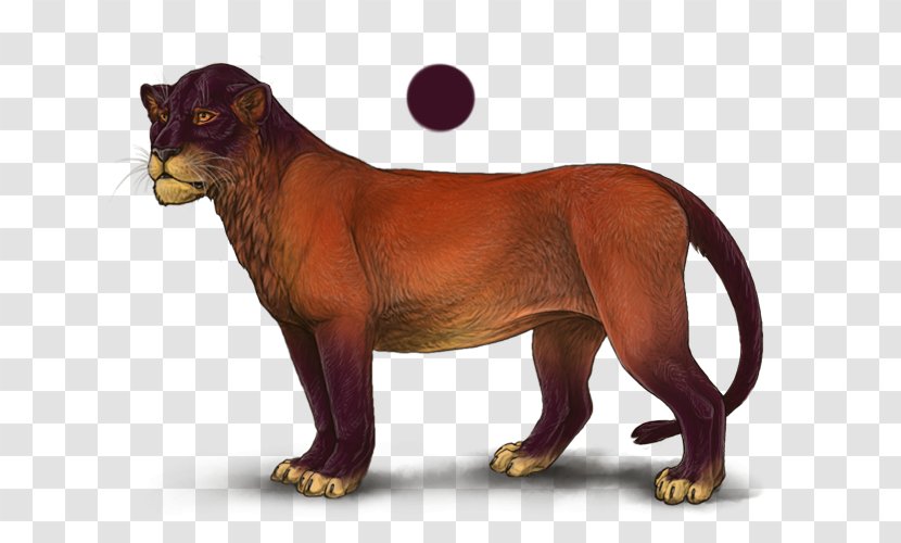 Lion Felidae Panther Horse Cat - Mammal Transparent PNG