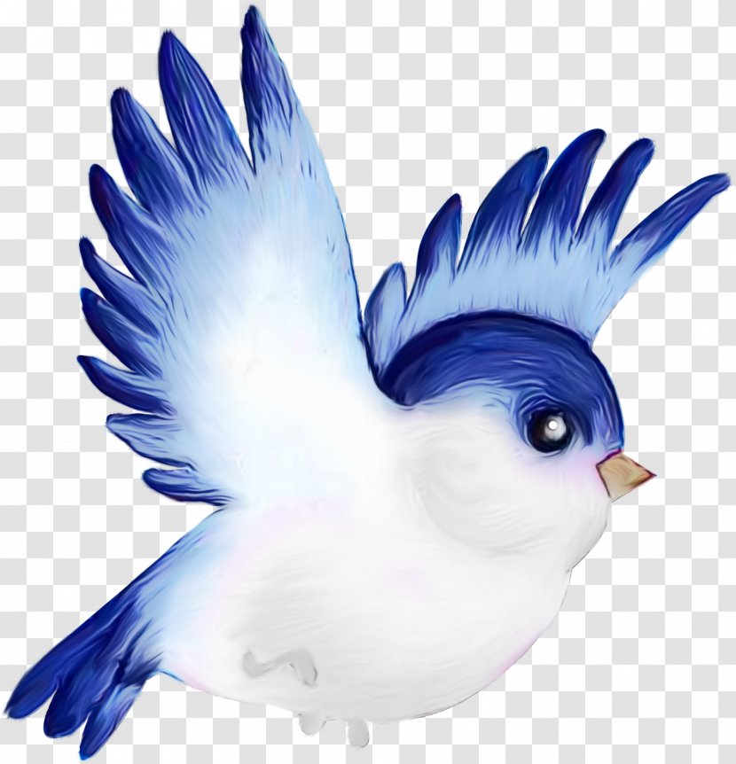 Bird Parrot - Yandex - Perching Transparent PNG