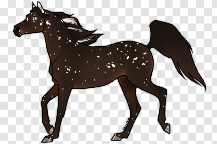 Mustang Foal Stallion Colt Mare - Horse Supplies Transparent PNG