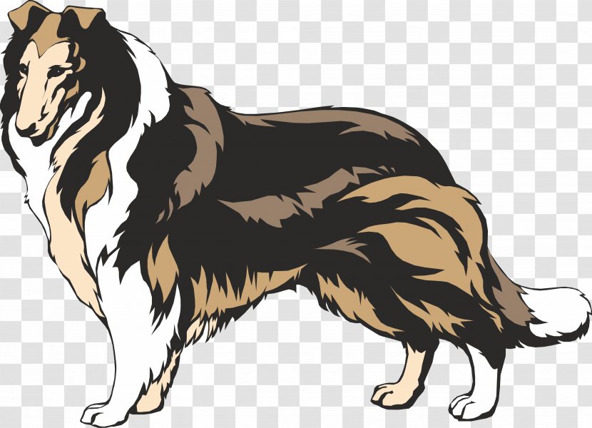 Rough Collie Border Smooth Clip Art - Tail - Tzu Vector Transparent PNG