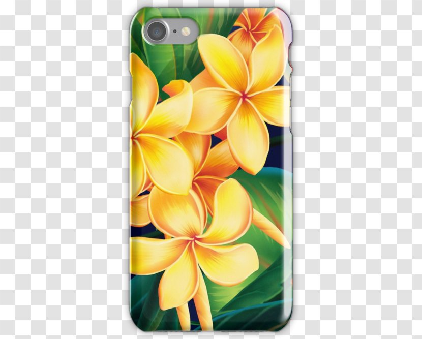 Petal Cut Flowers - Plumeria Transparent PNG