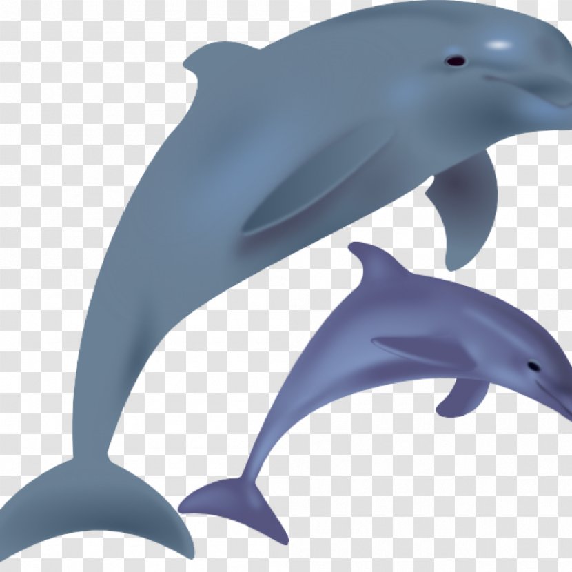 Common Bottlenose Dolphin Clip Art Openclipart Vector Graphics - Drawing Transparent PNG