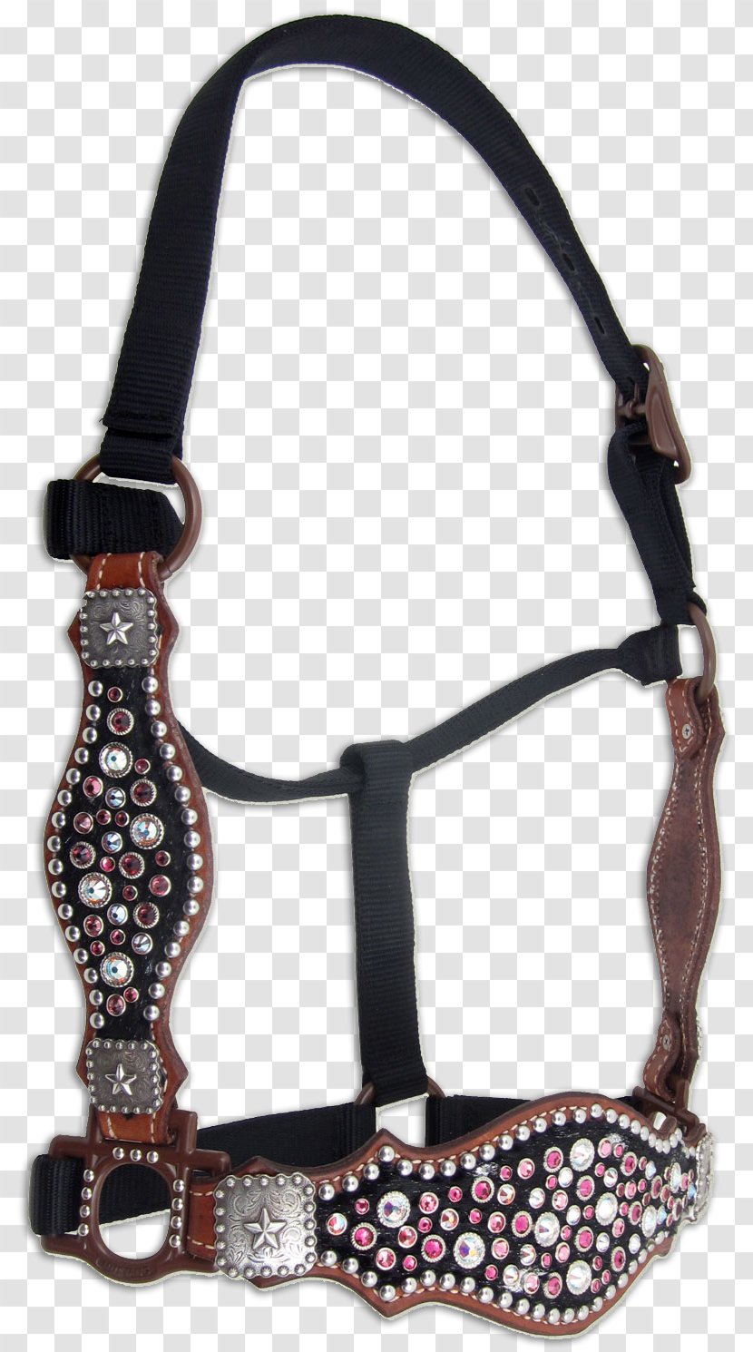 Horse Showmanship Halter Buckle Lead - Jewellery Transparent PNG