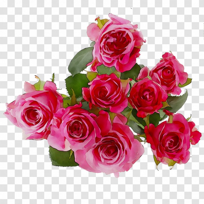 Garden Roses Samsung HS330 Floral Design Flower Bouquet Cut Flowers - Plant - Rose Family Transparent PNG
