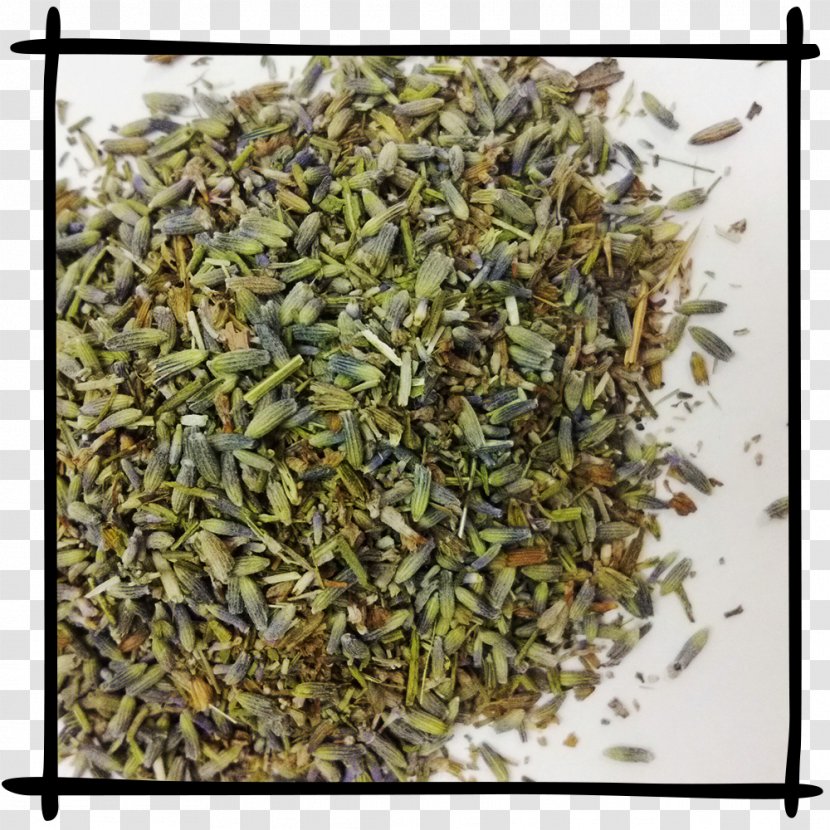 Hōjicha Nilgiri Tea Green Golden Monkey - Bai Mudan Transparent PNG