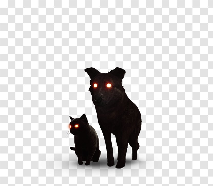 Black Cat Bombay Korat Dog The Witcher - Snout - Catanddogblackandwhite Transparent PNG