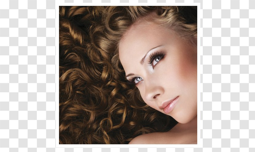 Hair Care Selenium Disulfide Beauty Parlour Hairdresser - Silhouette - Spa Transparent PNG