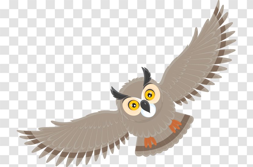 Owl Bird Cartoon Clip Art - Of Prey Transparent PNG