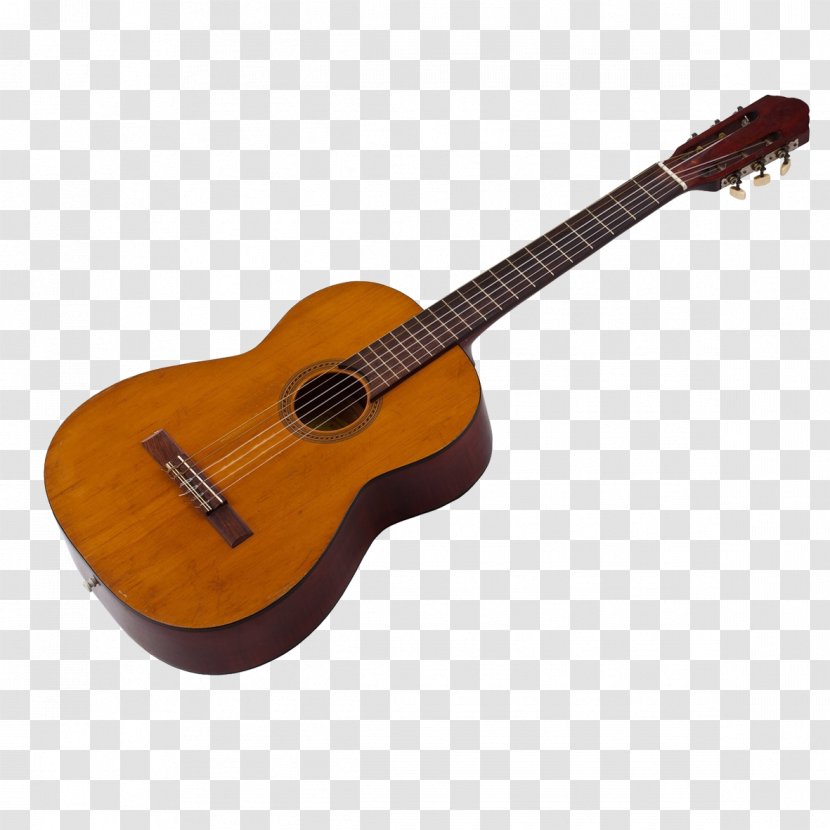 Acoustic Guitar Ukulele Tiple Cuatro - Tree Transparent PNG