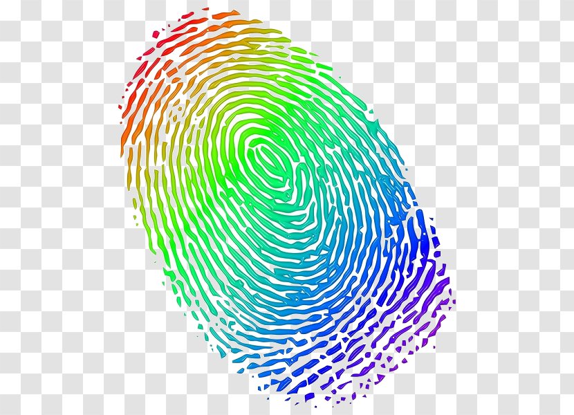 Fingerprint - Finger - Spiral Barska Transparent PNG