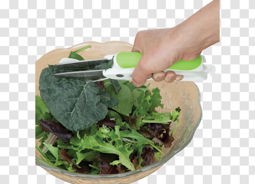 Romaine Lettuce Vegetarian Cuisine Spring Greens Spinach - Chopped Transparent PNG