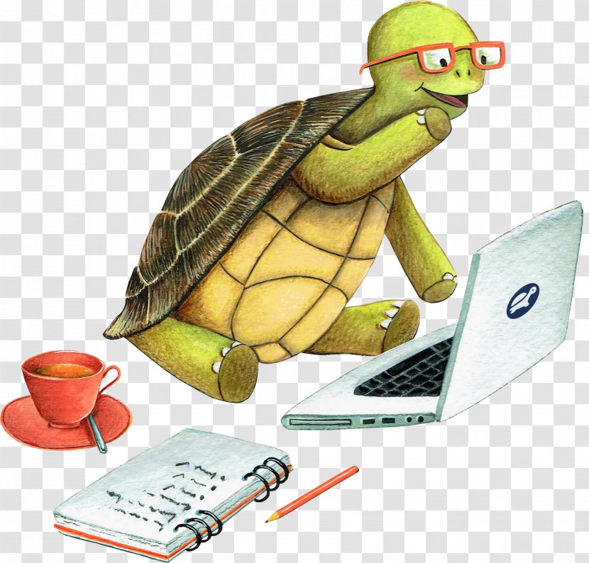 Tortoise Sea Turtle Teacher Learning - Human Behavior Transparent PNG