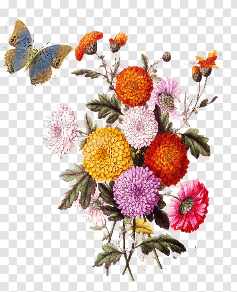 Flower Collage Stock Illustration Photography - European Aesthetic Vintage Floral Pattern Transparent PNG