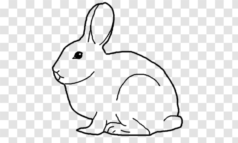 Domestic Rabbit Hare Whiskers Clip Art - Artwork - ABCD Transparent PNG