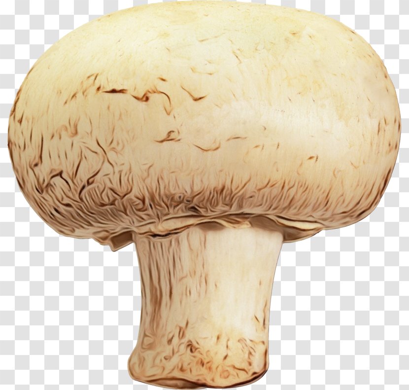 Mushroom Cartoon - Russula Integra Matsutake Transparent PNG