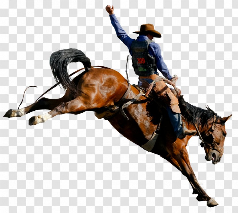 Rodeo Mustang Rein Equestrian Western Riding - Equestrianism Transparent PNG