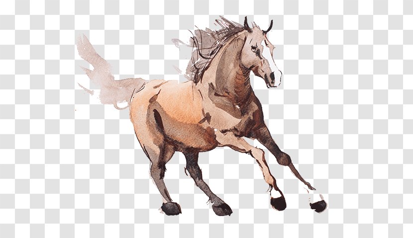 Horse Animal Figure Sorrel Stallion Mare - Drawing Liver Transparent PNG