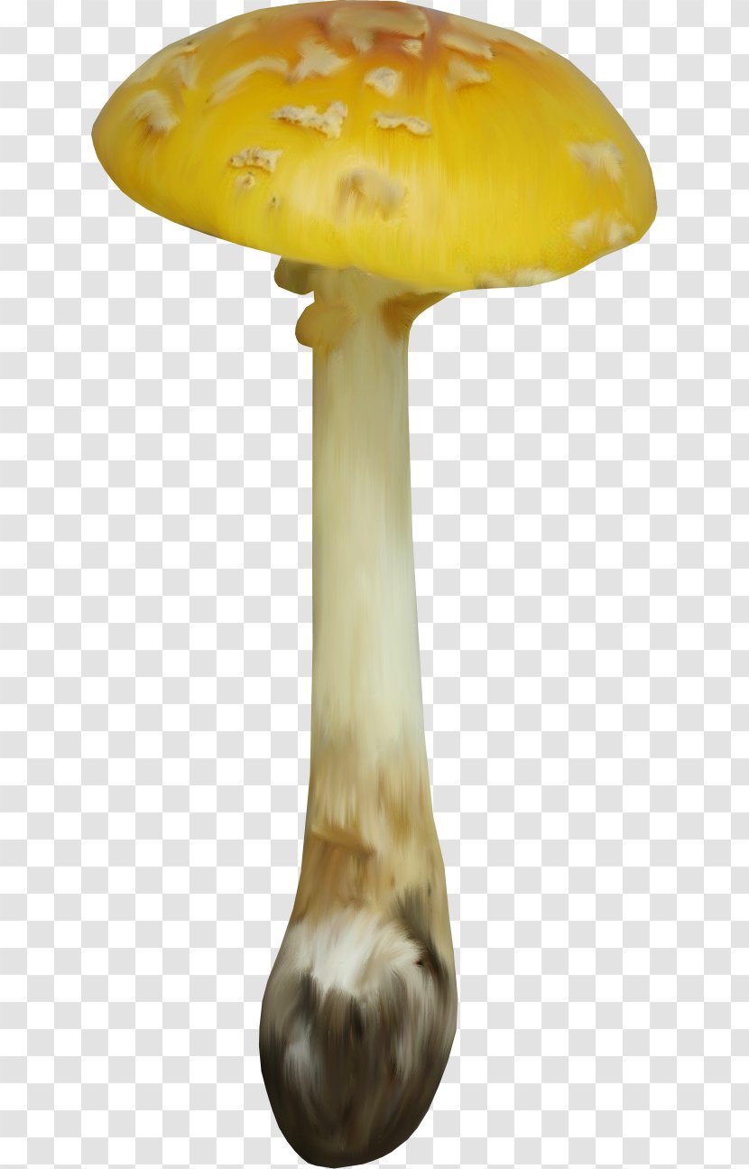 Edible Mushroom Food Clip Art - Vegetable - Painted Image,mushroom Transparent PNG