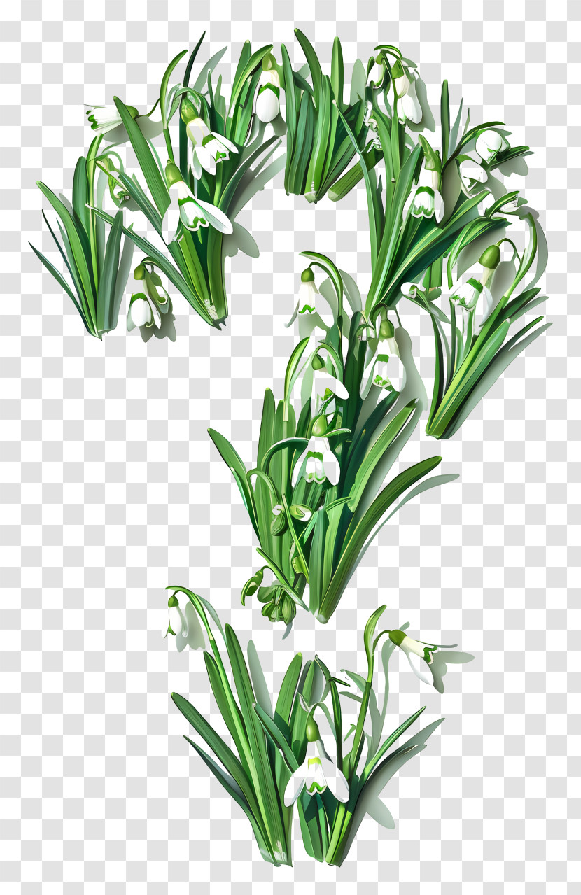 Question Mark - Botanical Question Mark Transparent PNG