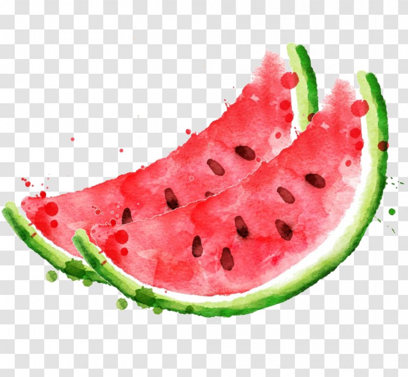 Watermelon Royalty-free Stock Photography Clip Art - Watercolor Transparent PNG
