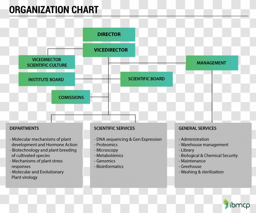 Web Page Organization Brand - Green - Design Transparent PNG