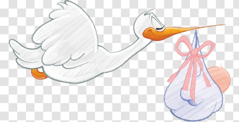 Infant White Stork Diaper Clip Art - Flower - New Baby Cliparts Transparent PNG