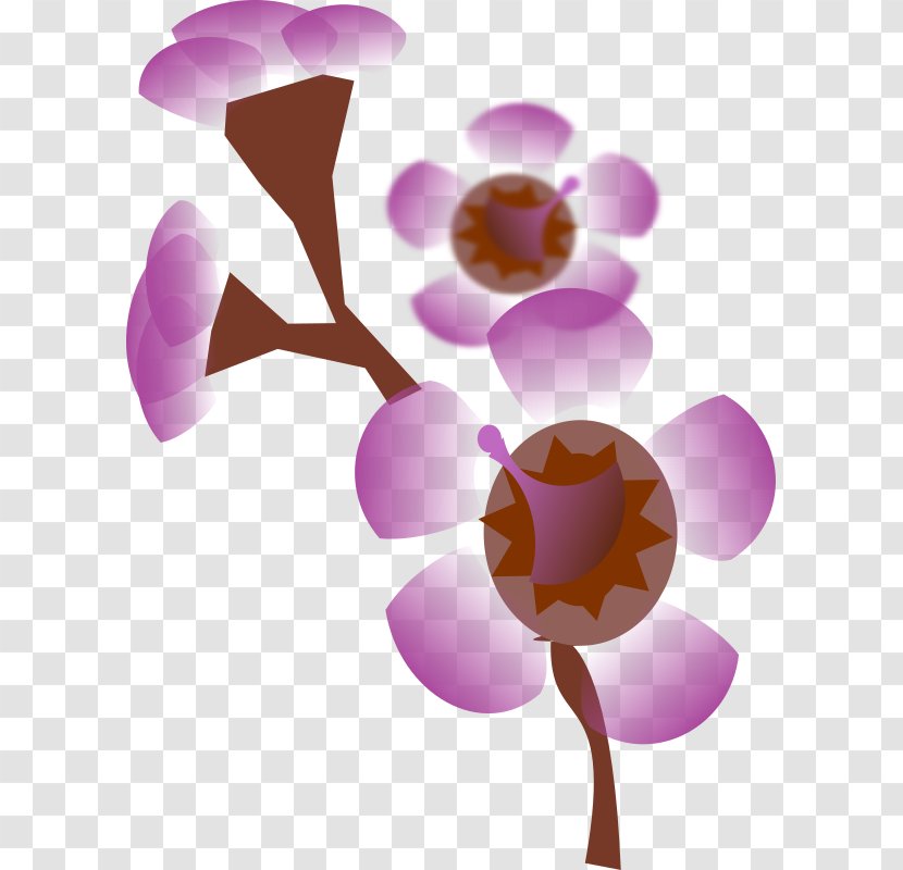 Flower Clip Art - Flowering Plant - Wax Transparent PNG