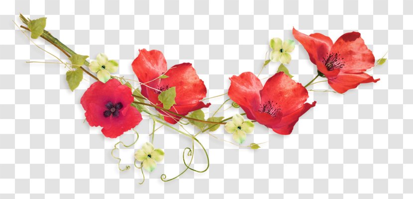 Common Poppy Digital Image Flower - Artificial - Poppies Transparent PNG