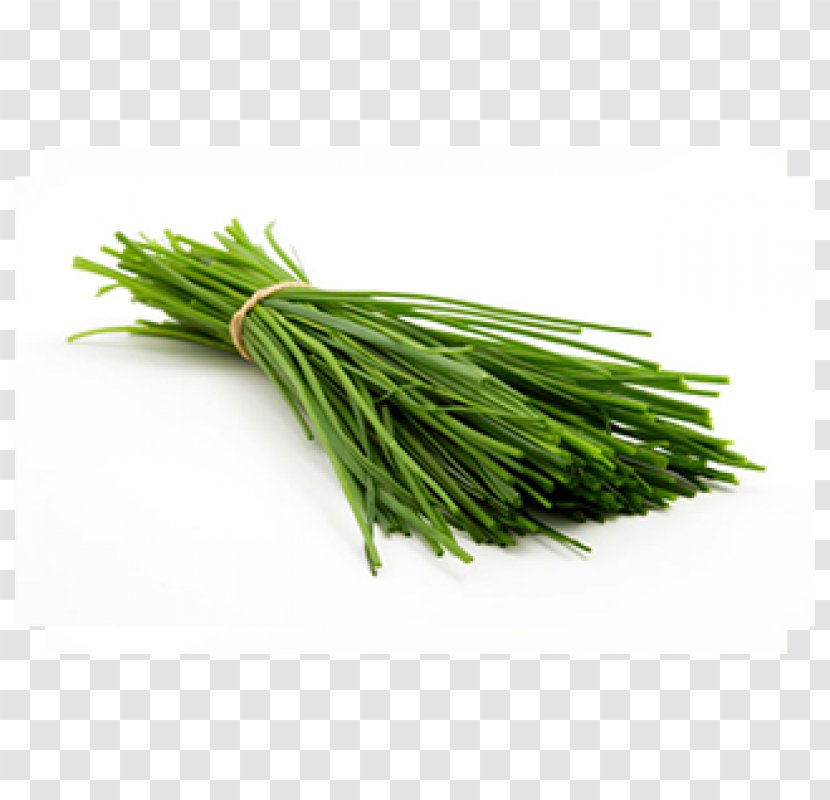Garlic Chives Scallion Green Herb - Onion Transparent PNG