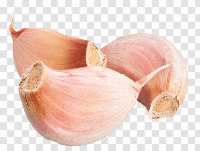 Elephant Garlic Yellow Onion Shallot Solo Stock Photography - Immune Transparent PNG