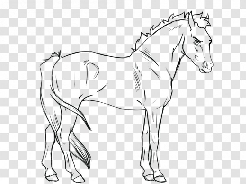 Line Art Stallion Foal Mustang Pony - Mare Transparent PNG