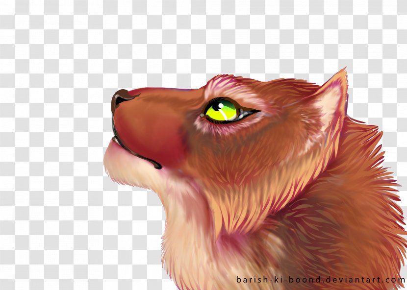 Whiskers Cat Snout Paw Fauna - Lion - Barish Ecommerce Transparent PNG