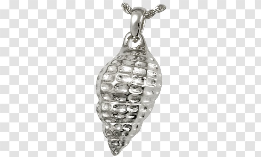 Locket Jewellery Charms & Pendants Necklace Charm Bracelet - Metal Transparent PNG