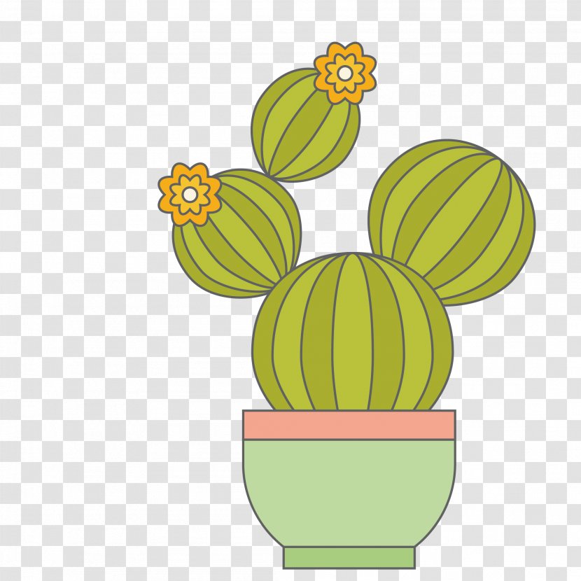 Cactaceae Cartoon - Bonsai - Cactus Transparent PNG
