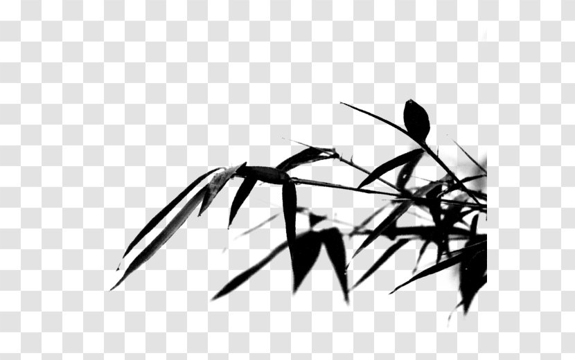 Anji County Black And White Bamboo - Membrane Winged Insect - Chinese Wind Ink Leaves Transparent PNG