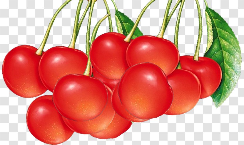 Berry Fruit Cherry Vegetable Wallpaper Transparent PNG