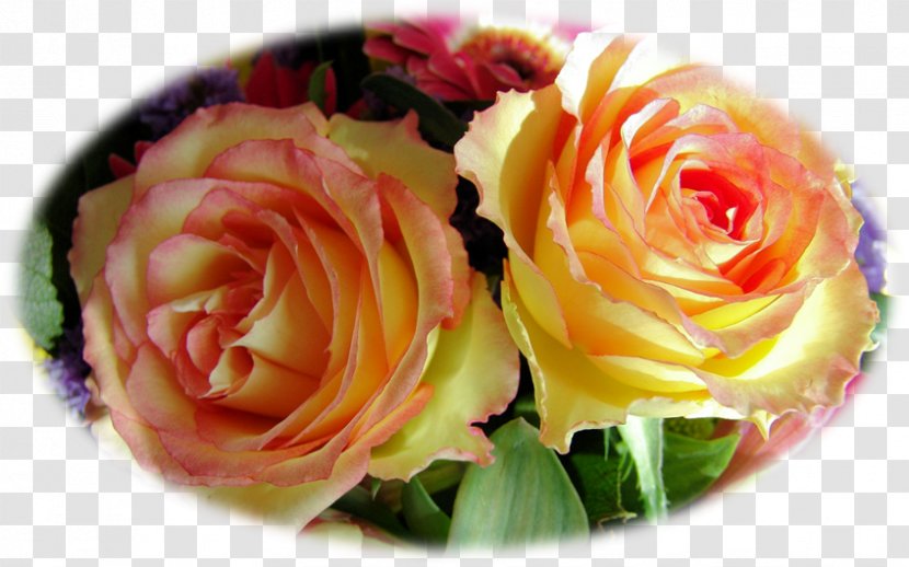 Garden Roses Pastilla Pizza Stuffing Feuilleté Transparent PNG