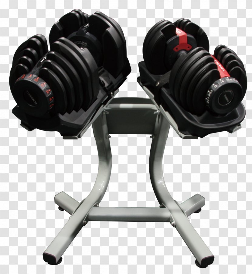 Dumbbell Exercise Machine Barbell Strength Training Kettlebell - Online Shopping Transparent PNG