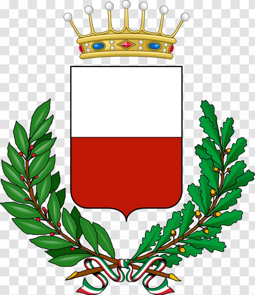 Fiume Veneto Treviso Barcis Claut Province Of Asti - Crown - Baron Insignia Transparent PNG