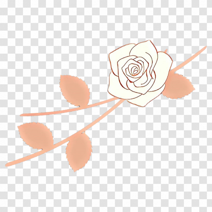 Rose Transparent PNG