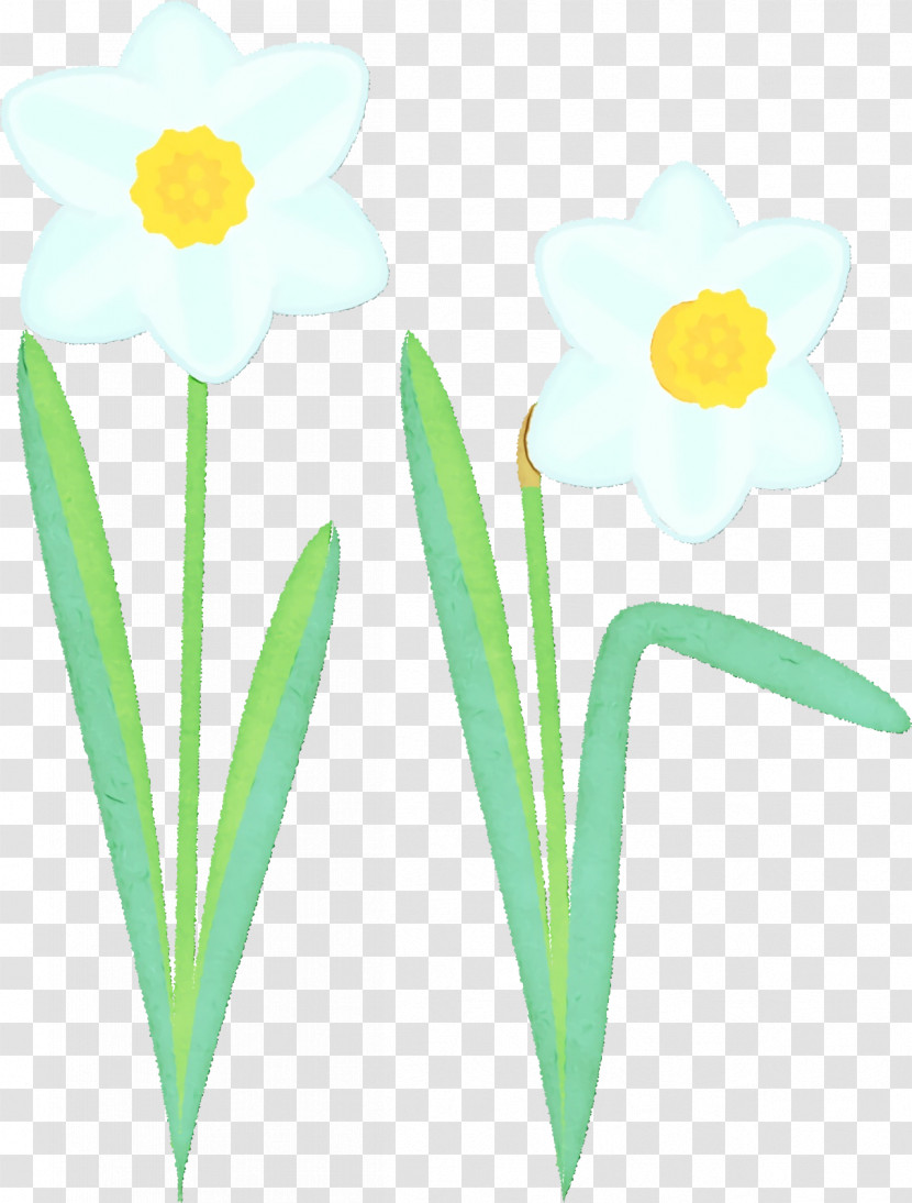 Plant Stem Cut Flowers Narcissus Yellow Petal Transparent PNG
