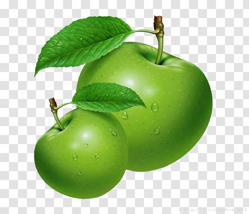 Apple Juice Extract Seed Oil Essential - Plant - Green Transparent PNG