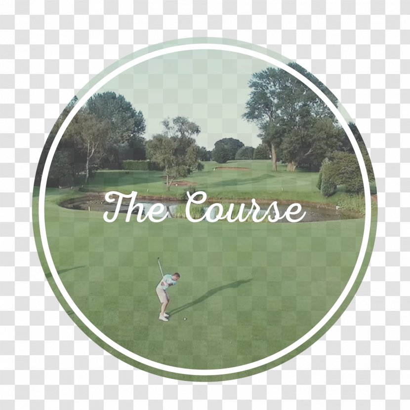 Golf Balls Green Fee Course Clubs - Cartoon Transparent PNG