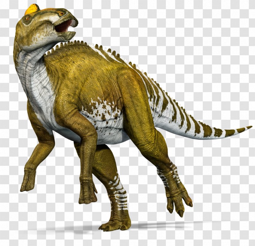 Edmontosaurus Annectens Tyrannosaurus Lance Formation Gorgosaurus Late Cretaceous - Jurassic World Transparent PNG