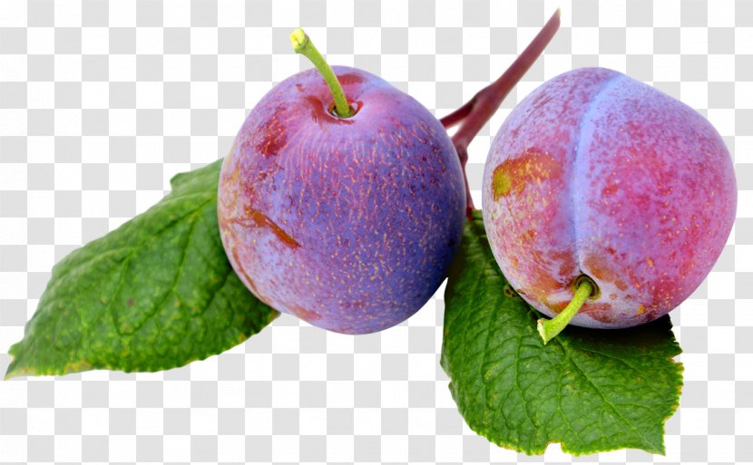 Fruit Plum - Local Food - Plums Transparent PNG