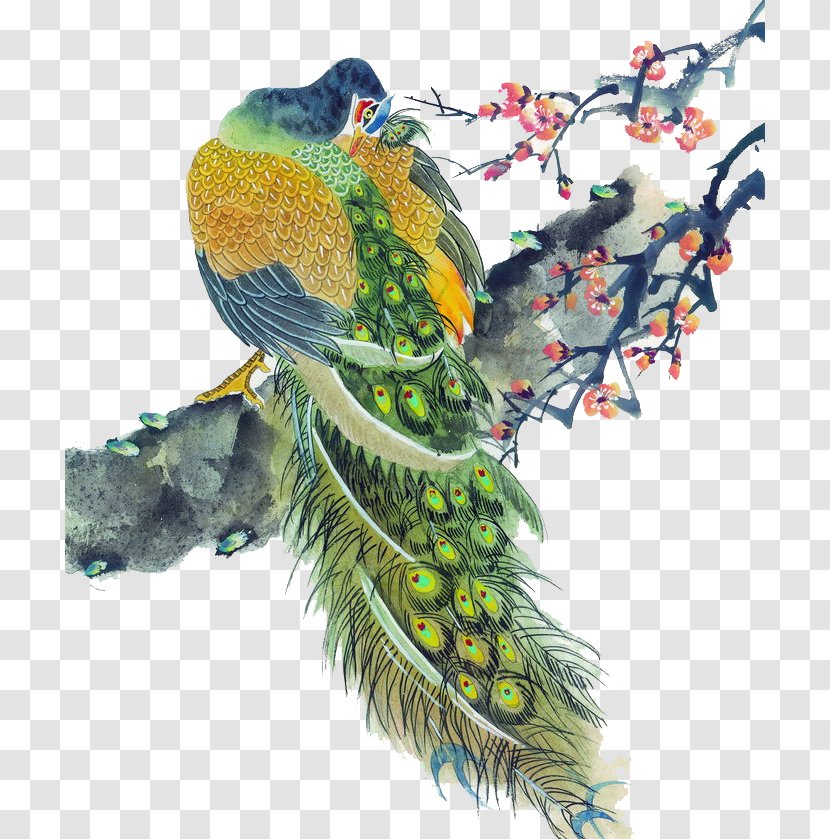 Bird Peafowl Painting Feather - Beak - Ink Peacock Transparent PNG