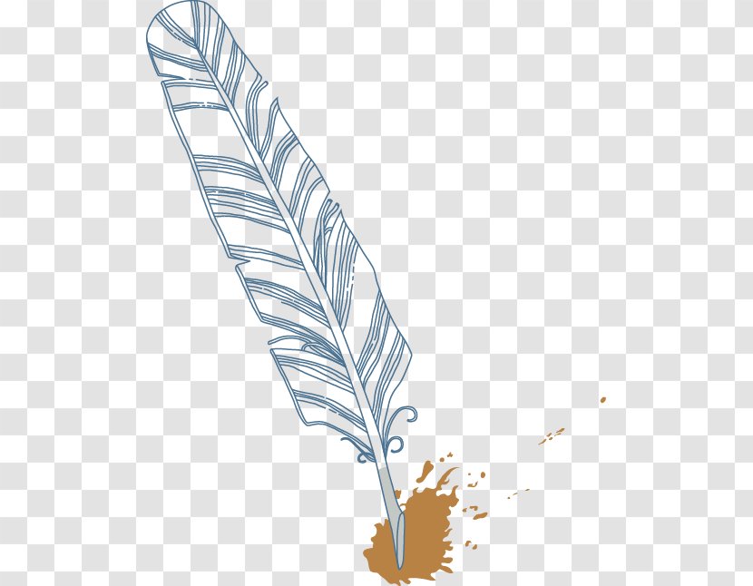Feather Quill - Artworks - Feathers Transparent PNG
